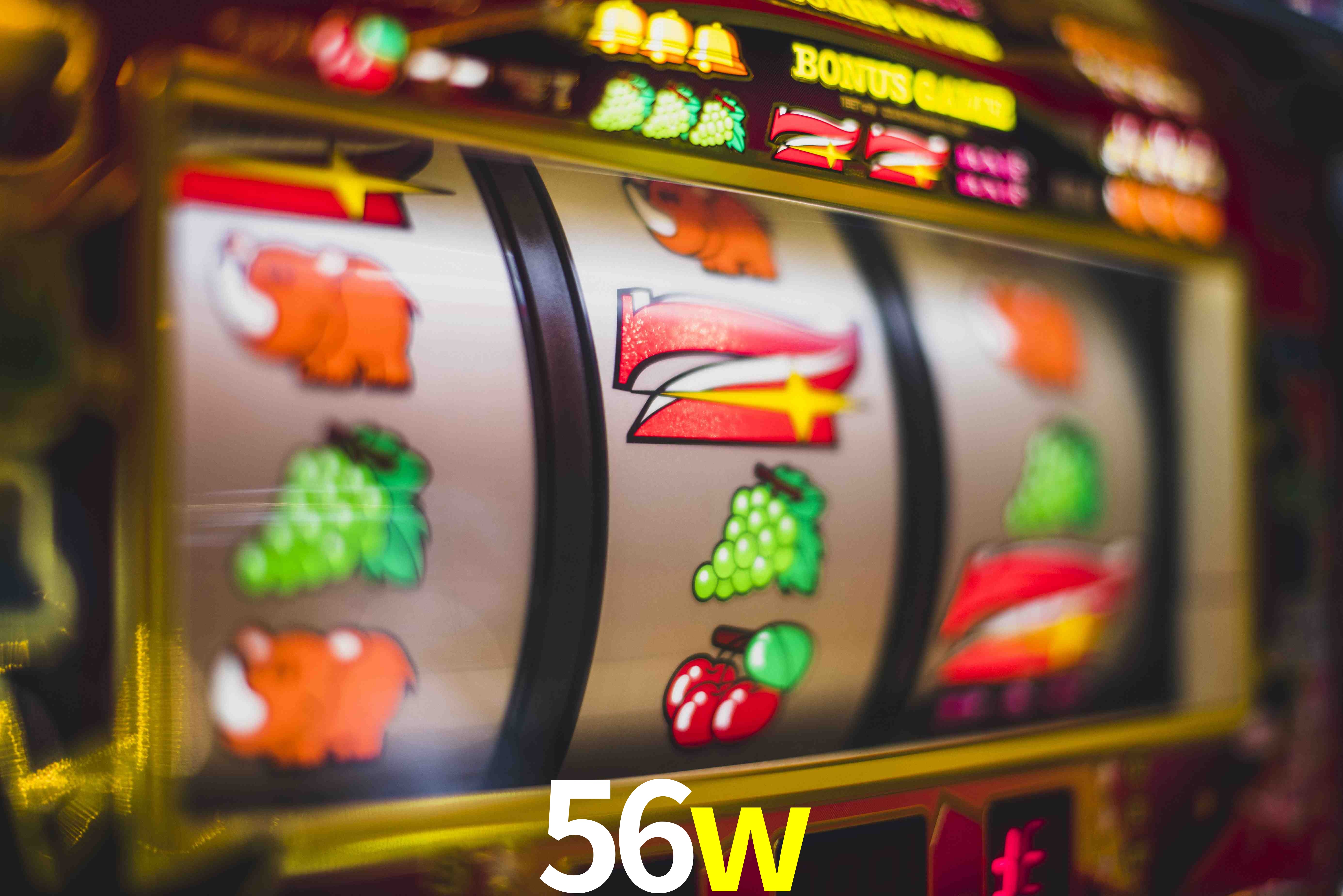 Football Betting 56w